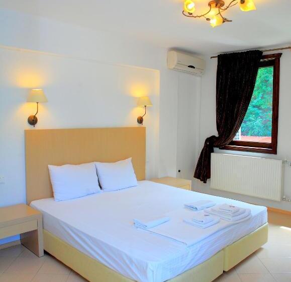 スタンダードルーム, Elli Greco