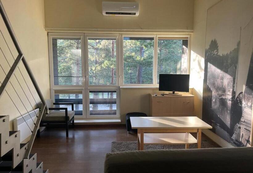 استودیوی استاندارد, Nidos Kempingas