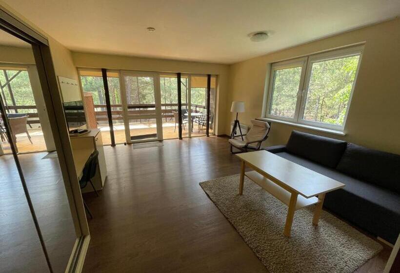 آپارتمان 1 خوابه با تراس, Nidos Kempingas