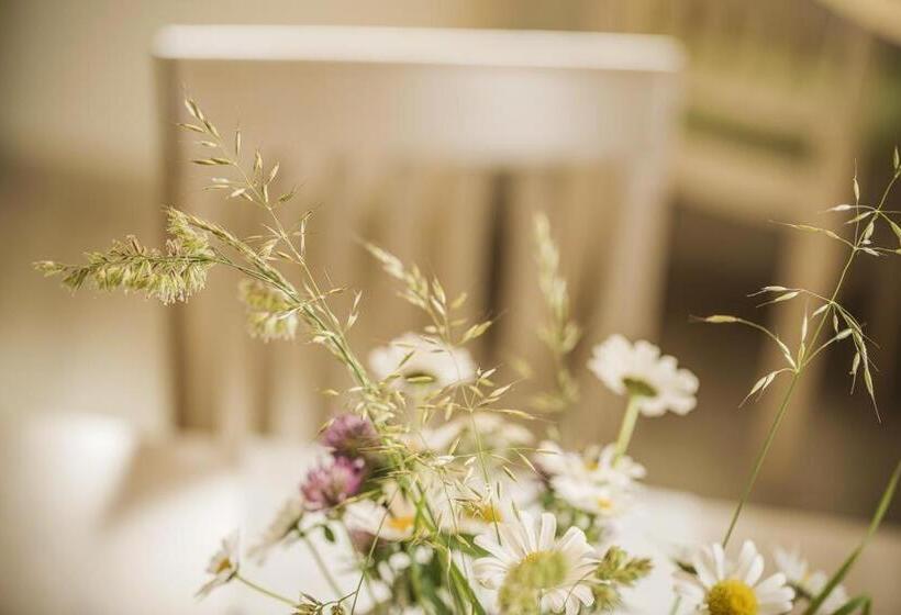 דירת חדר, Wohlfühl Ferien Heim Aparthotel 4 Sterne