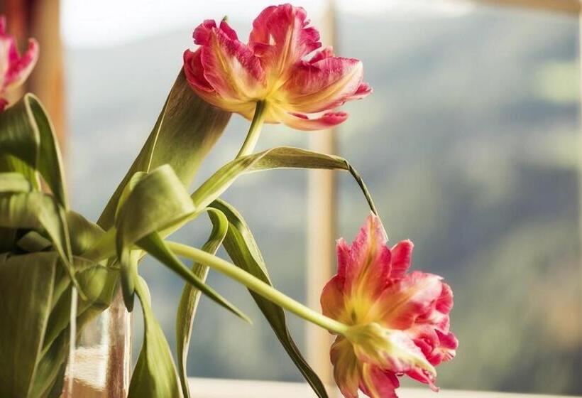 דירת שני חדרים, Wohlfühl Ferien Heim Aparthotel 4 Sterne