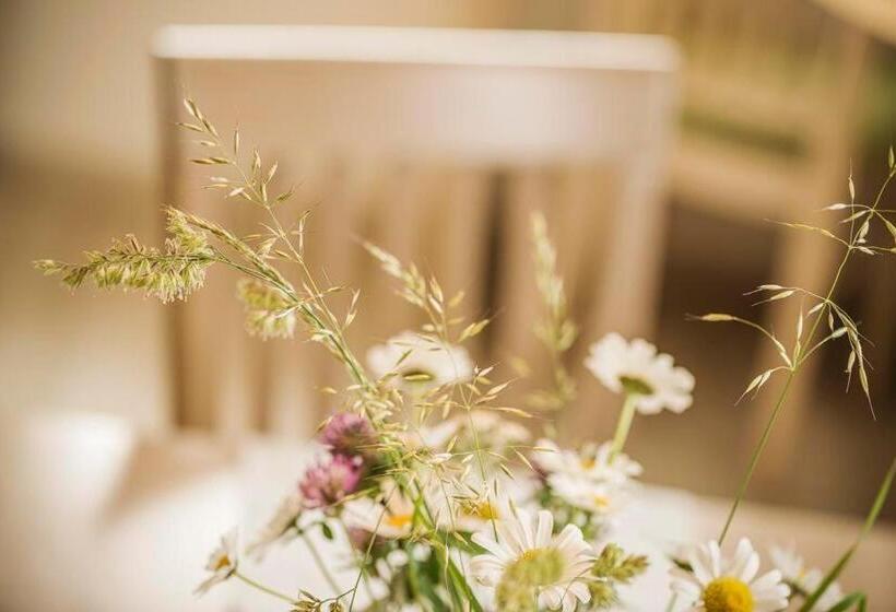 דירת חדר, Wohlfühl Ferien Heim Aparthotel 4 Sterne