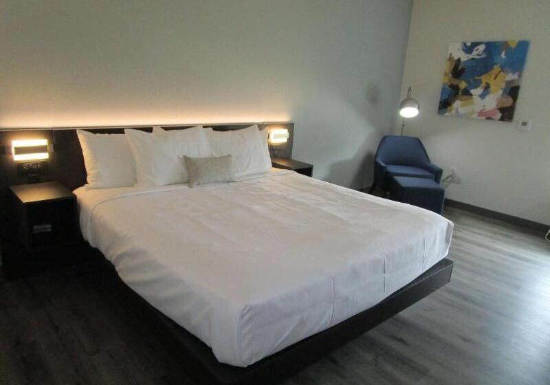 장애인을 위한 킹사이즈 침대 스탠다드 룸, Best Western Iowa   Lake Charles East