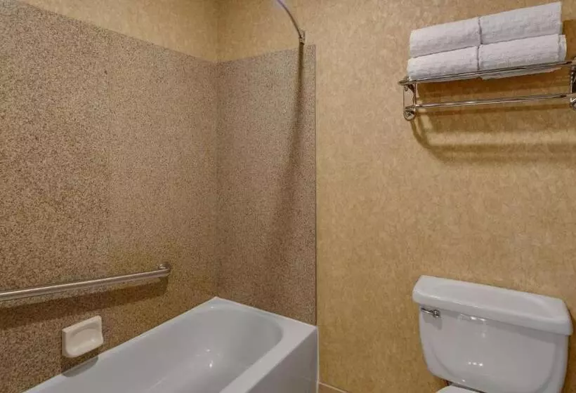 デラックスルーム, Best Western Plus Kelly Inn And Suites