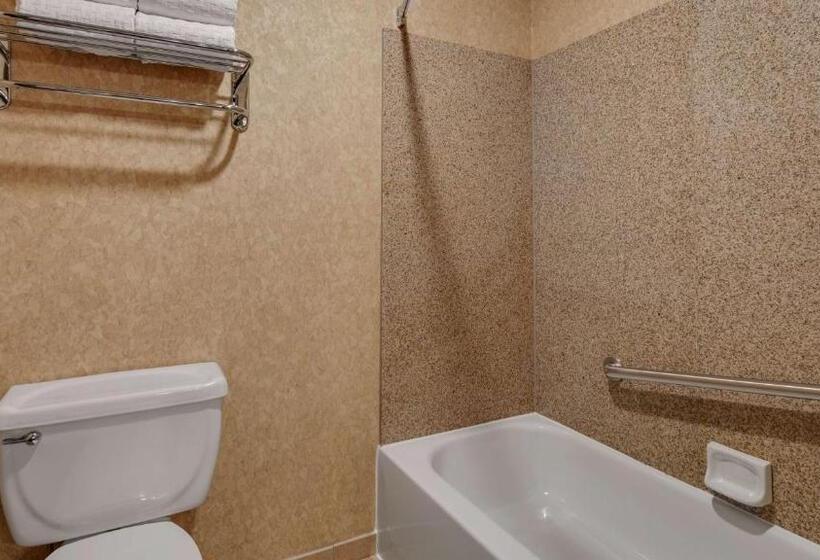 带大床的行政房间, Best Western Plus Kelly Inn And Suites