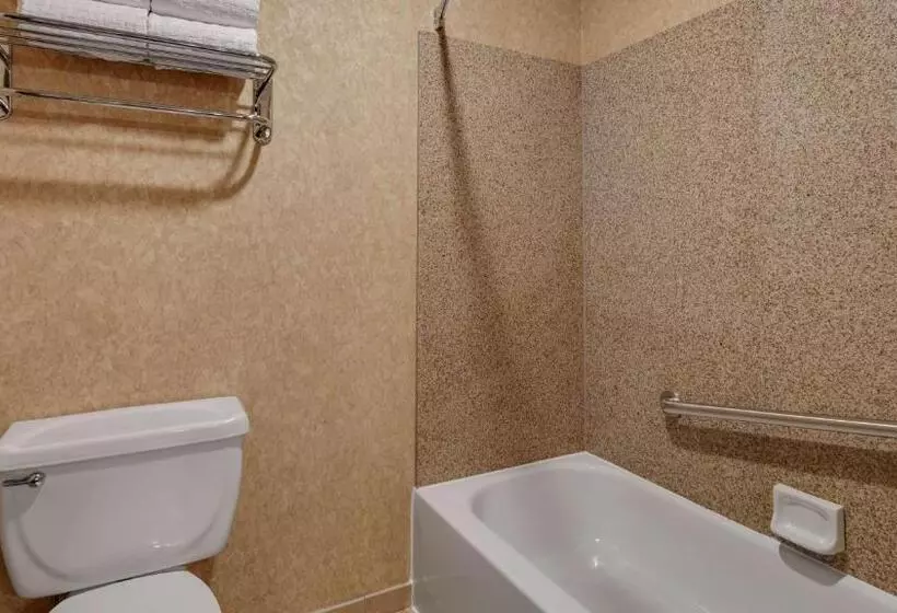 キングサイズベッドのスタンダードルーム, Best Western Plus Kelly Inn And Suites
