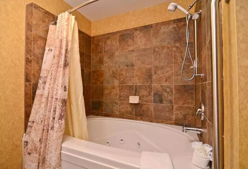 キングサイズベッドのスタンダードルーム, Best Western Plus Kelly Inn And Suites