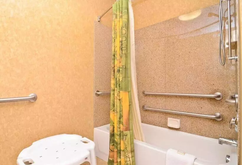 身障者適用スタンダードルーム, Best Western Plus Kelly Inn And Suites