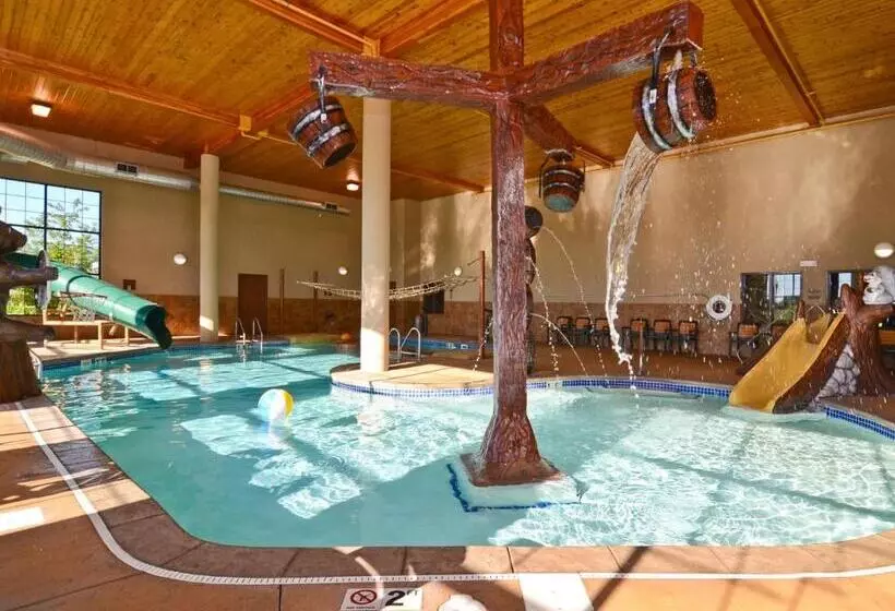 身障者適用スタンダードルーム, Best Western Plus Kelly Inn And Suites
