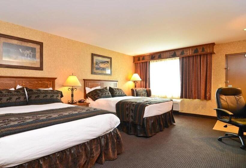 适合残疾人使用的标准间, Best Western Plus Kelly Inn And Suites