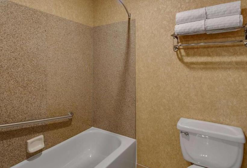适合残疾人使用的标准间, Best Western Plus Kelly Inn And Suites