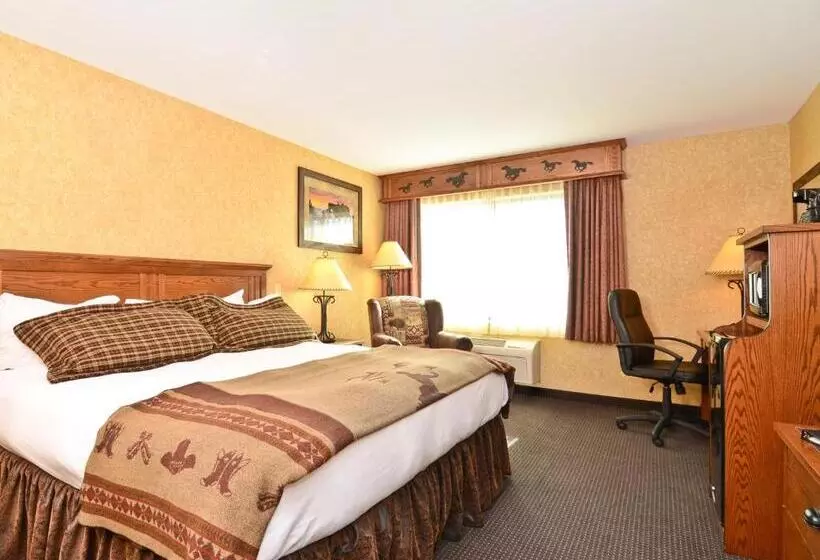 身障者適用キングサイズベッドルーム, Best Western Plus Kelly Inn And Suites