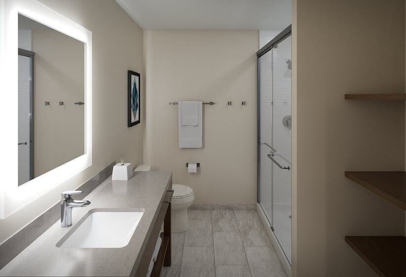 标准工作室, Candlewood Suites Dfw Airport North   Irving, An Ihg