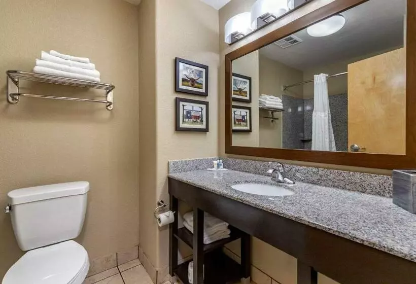 キングサイズベッドのスイートルーム, Comfort Suites