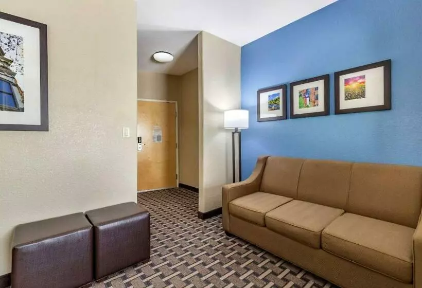 キングサイズベッドのスイートルーム, Comfort Suites