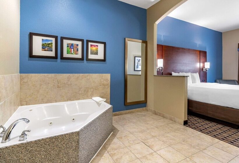 جناح لذوى الاحتياجات الخاصة, Comfort Suites