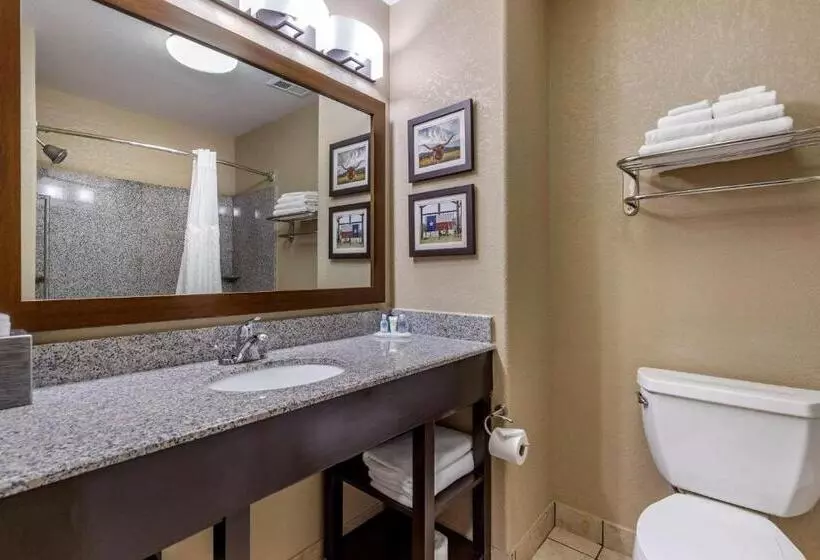 キングサイズベッドのスイートルーム, Comfort Suites