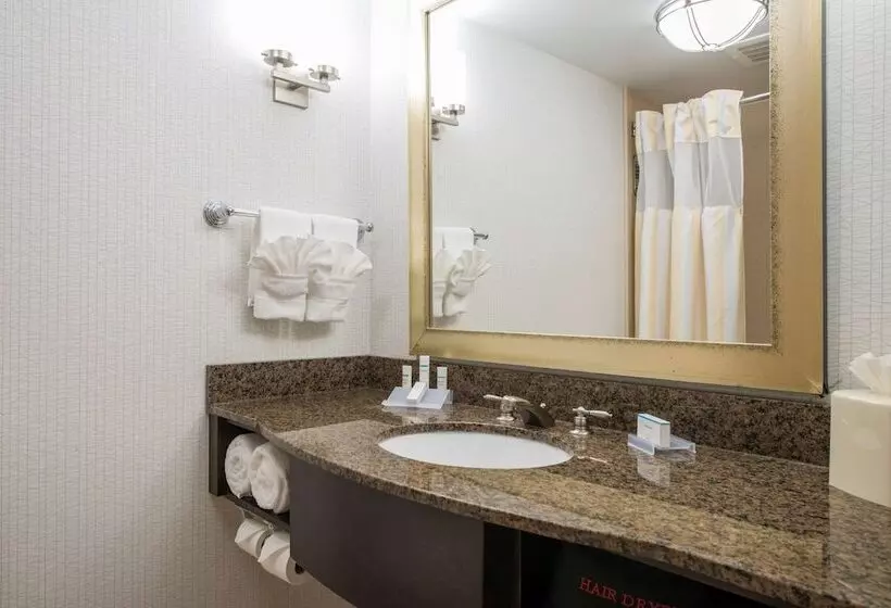 اتاق استاندارد, Hilton Garden Inn Atlanta Airport North