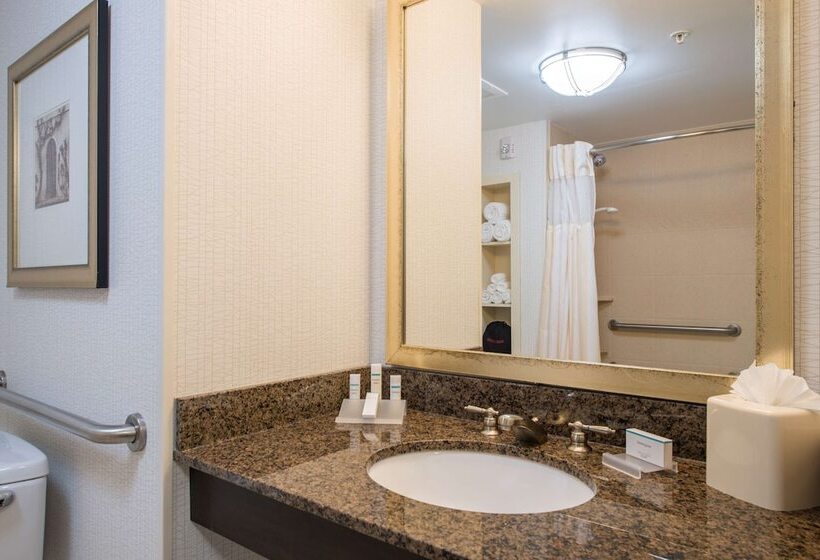 غرفة قياسية لذوى الاحتياجات الخاصة, Hilton Garden Inn Atlanta Airport North