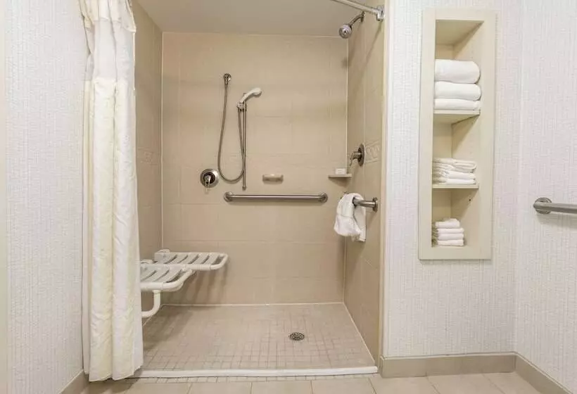 اتاق استاندارد برای معلولان, Hilton Garden Inn Atlanta Airport North