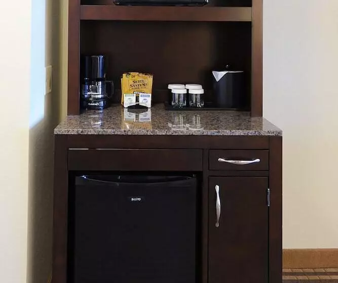 اتاق استاندارد برای معلولان, Hilton Garden Inn Atlanta Airport North