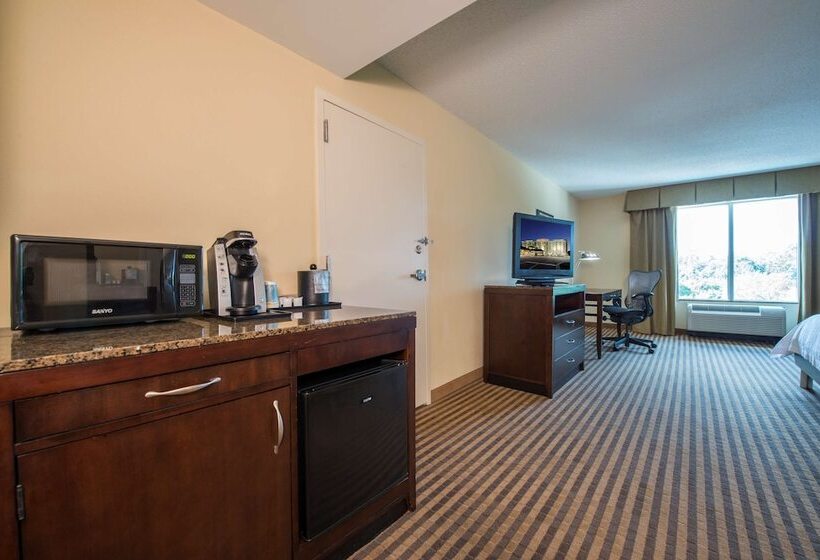 غرفة قياسية لذوى الاحتياجات الخاصة, Hilton Garden Inn Atlanta Airport North