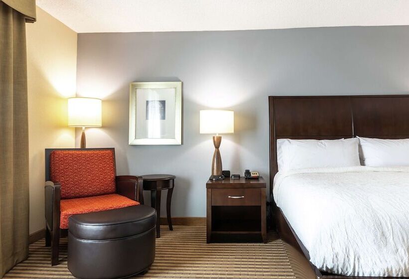 身障者適用スタンダードルーム, Hilton Garden Inn Atlanta Airport North