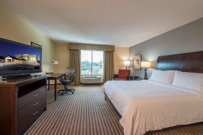 غرفة قياسية سرير كينج, Hilton Garden Inn Atlanta Airport North