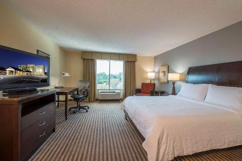 اتاق استاندارد با تخت بزرگ, Hilton Garden Inn Atlanta Airport North