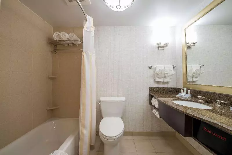 اتاق استاندارد با تخت بزرگ, Hilton Garden Inn Atlanta Airport North