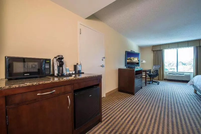 اتاق استاندارد با تخت بزرگ, Hilton Garden Inn Atlanta Airport North