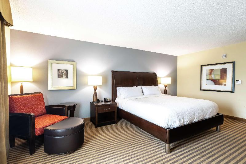 キングサイズベッドのスタンダードルーム, Hilton Garden Inn Atlanta Airport North