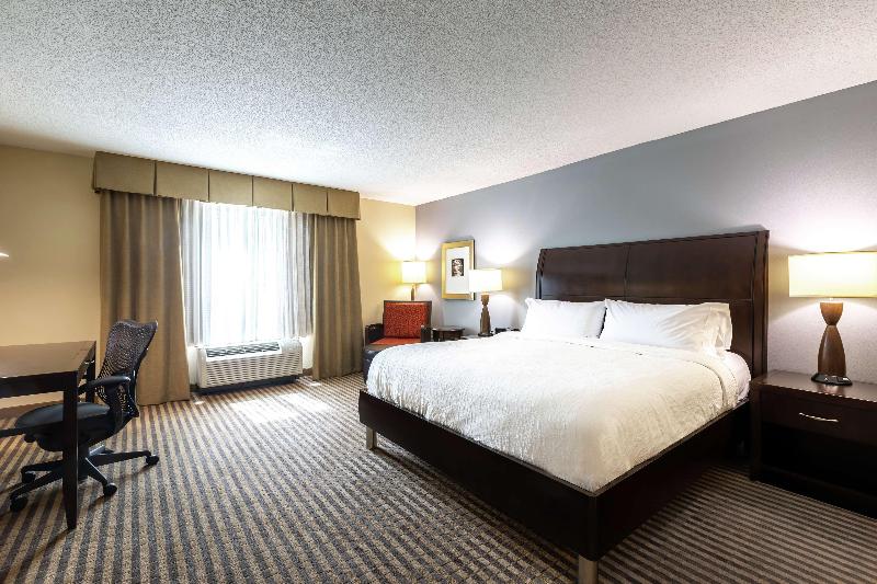 غرفة قياسية سرير كينج, Hilton Garden Inn Atlanta Airport North