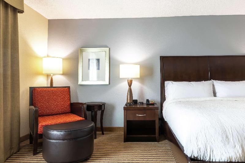 キングサイズベッドのスタンダードルーム, Hilton Garden Inn Atlanta Airport North