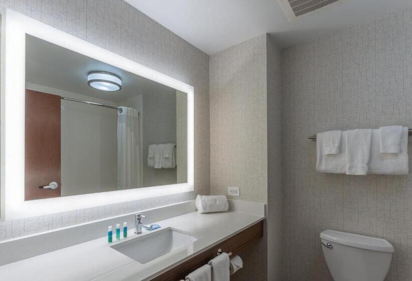 Номер Стандарт Адаптированный для Инвалидов, Holiday Inn Express   Indianapolis   Southeast, An Ihg
