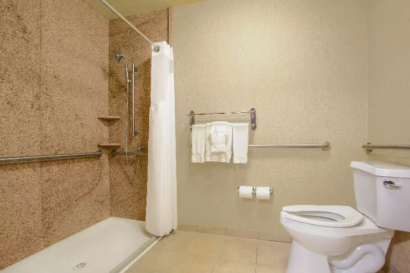 キングサイズベッドのスタンダードルーム, Holiday Inn Express Hotel & Suites Yuma, An Ihg