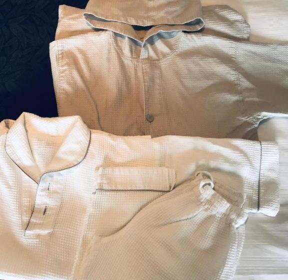 חדר סופריור לשלושה, Kanehide Kise Beach Palace