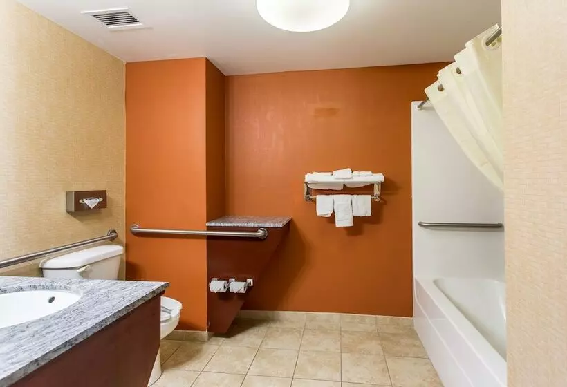 身障者適用スイートルーム, Sleep Inn & Suites Dyersburg I155