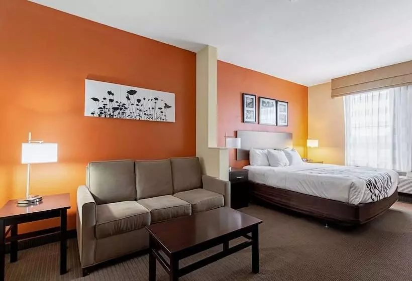 身障者適用スイートルーム, Sleep Inn & Suites Dyersburg I155