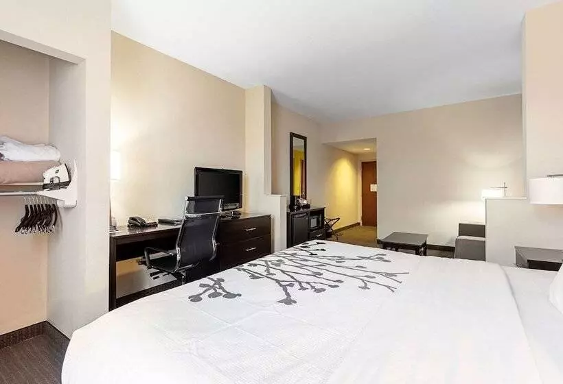 身障者適用スイートルーム, Sleep Inn & Suites Dyersburg I155
