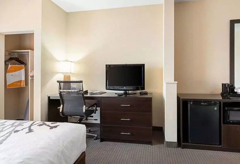 身障者適用スイートルーム, Sleep Inn & Suites Dyersburg I155