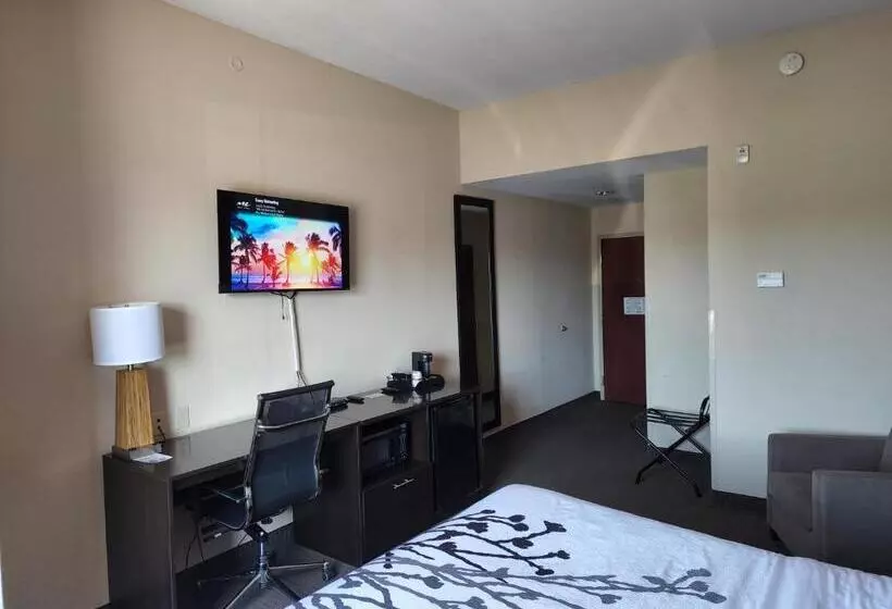 キングサイズベッドのスタンダードルーム, Sleep Inn & Suites Dyersburg I155