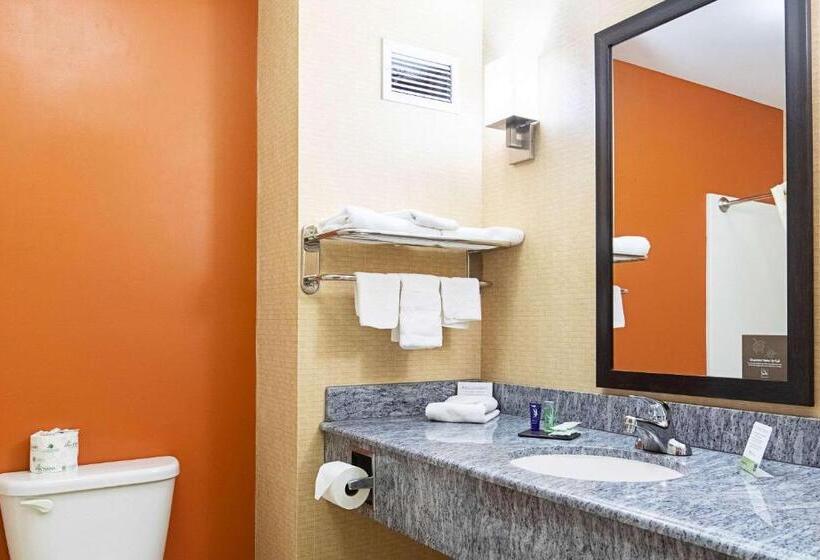 غرفة قياسية سرير كينج, Sleep Inn & Suites Dyersburg I155
