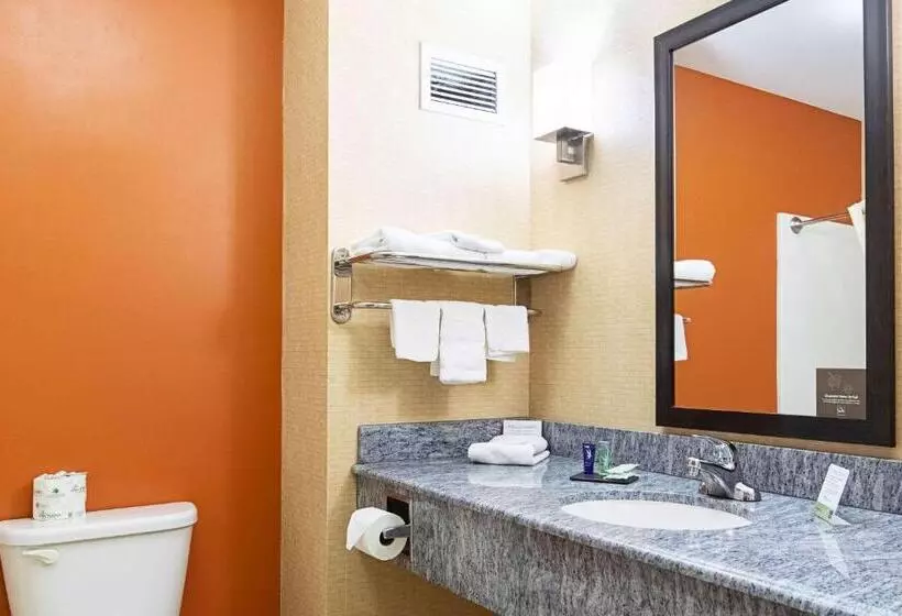 キングサイズベッドのスタンダードルーム, Sleep Inn & Suites Dyersburg I155