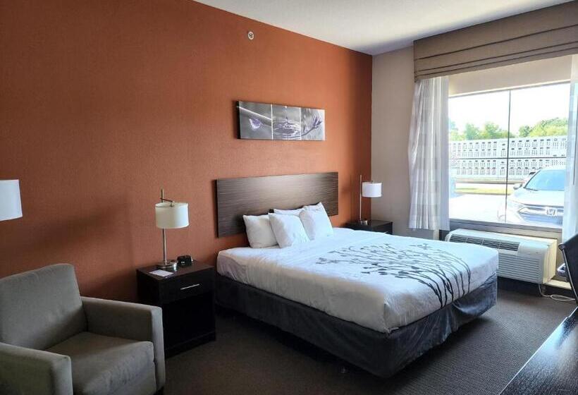 Стандартный Номер Кровать Кинг, Sleep Inn & Suites Dyersburg I155