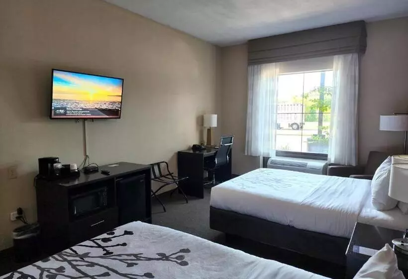 スタンダードルーム, Sleep Inn & Suites Dyersburg I155