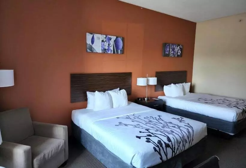 スタンダードルーム, Sleep Inn & Suites Dyersburg I155