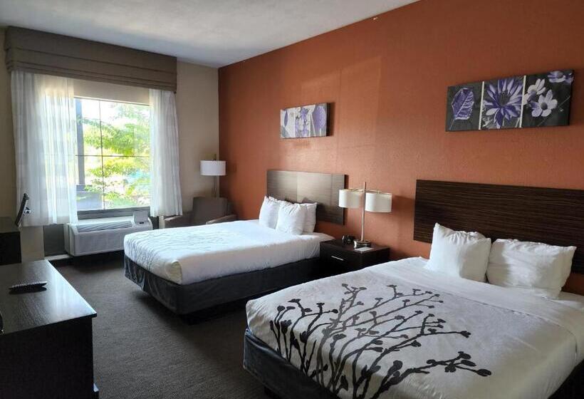 غرفة قياسية, Sleep Inn & Suites Dyersburg I155