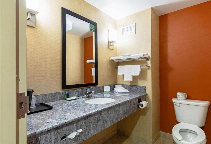 غرفة قياسية, Sleep Inn & Suites Dyersburg I155