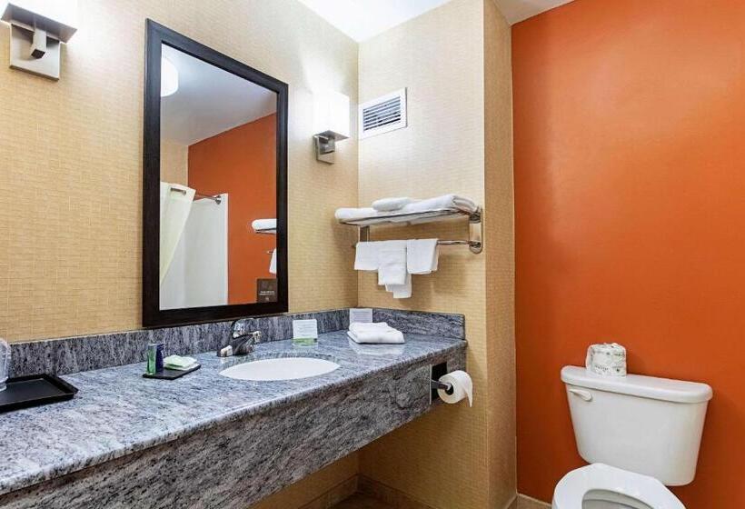 מיטת קינג בסוויטה, Sleep Inn & Suites Dyersburg I155